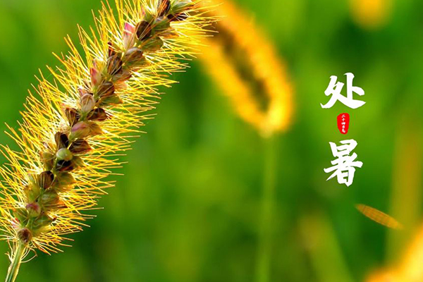 J9ֱӪ���š��й������ٷ���վ